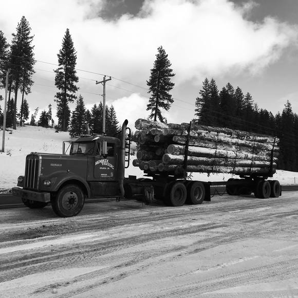 Meet your Posher, Brandon - Picture 1 of 1